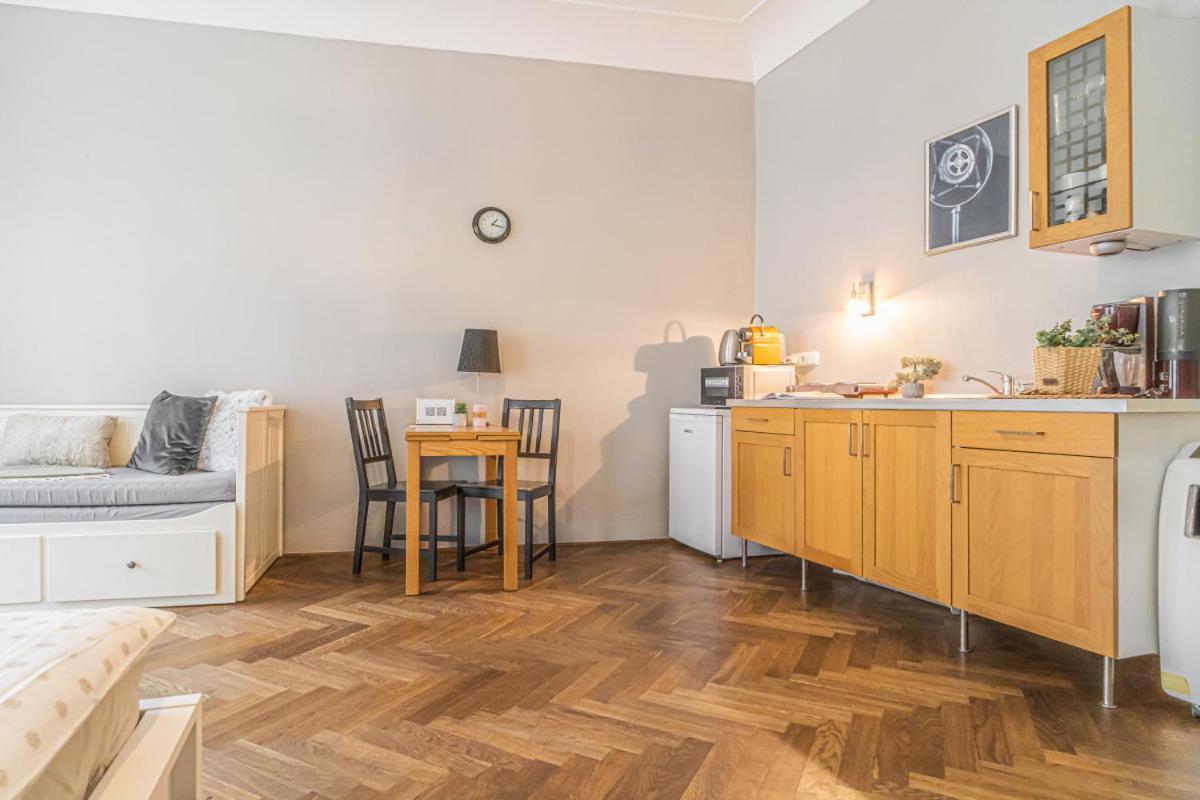 Bright Studio Close To Charles Bridge And Prague Castle Apartment Ngoại thất bức ảnh